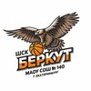 Логотип телеграм канала @bk_berkut — Golden Eagles