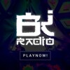 Логотип телеграм канала @bk_radio — 🎙Radio.bkfreaks.info