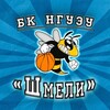 Логотип телеграм канала @bkshmeli — БК «Шмели»-НГУЭУ🐝🤩