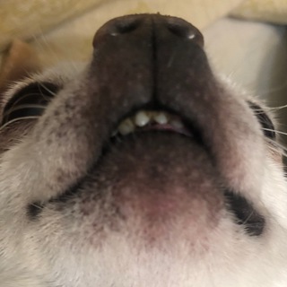 Логотип телеграм канала @bl_off — Black off