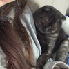 Логотип телеграм канала @bl0d1_dashk — блоди дашк