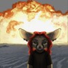 Logo of telegram channel bl1fo4 — bl1fo4