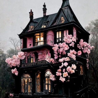 لوگوی کانال تلگرام black_rainbow_shop — Black Rainbow_shop