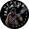 Логотип телеграм -каналу black_harkov — Чёрный Харьков