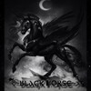 Логотип телеграм канала @black_horse100 — 🕷️🕷️