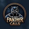 Логотип телеграм канала @black_panthercalls — 𝗕𝗹𝗮𝗰𝗸 𝗣𝗮𝗻𝘁𝗵𝗲𝗿 𝗖𝗮𝗹𝗹𝘀 💣