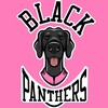 Логотип телеграм канала @black_panthers_kennel — Black Panthers sleddog team || Ездовой спорт, евродоги, и один почти курцхар