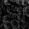 Логотип телеграм канала @black_rose_musiic — ᙖℓαcк Rσѕє🖤🕊