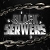 Логотип телеграм канала @black_serwers — BLACK SERWERS️