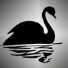 Logo of telegram channel black_swan — Black Swan