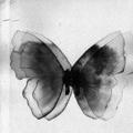 Logo saluran telegram blackagainn — Black Memories