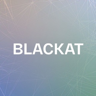 Логотип телеграм канала @blackat_tg — Blackat