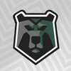 Логотип телеграм канала @blackbears_mfc — Футзальный клуб «Черные Медведи – Политех»