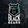 Логотип телеграм канала @blackbearshockey — Blackbears_hockey