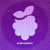 Logo of telegram channel blackberry_gta5rp — Blackberry