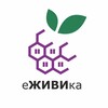 Логотип телеграм канала @blackberryintheforest — Дома и бани еЖИВИка
