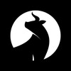 Logo of telegram channel blackbullcryptocalls — 𝘽𝙇𝘼𝘾𝙆 𝘽𝙐𝙇𝙇 𝘾𝙍𝙔𝙋𝙏𝙊🚀