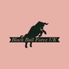 Logo of telegram channel blackbullforexuklite1 — Black Bull Forex UK (Lite 1)