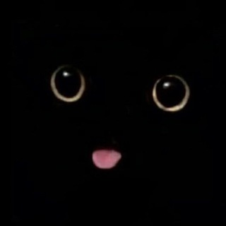 Логотип телеграм канала @blackcatmem — Чёрные коты