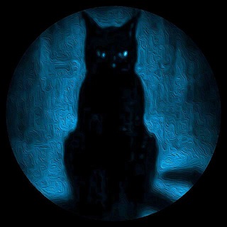 Логотип телеграм канала @blackcatroom — Комната кота