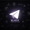 Логотип телеграм канала @blackcrypto25 — Black Crypto