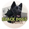 Логотип телеграм канала @blackdogs_travel — BLACK DOGS travel