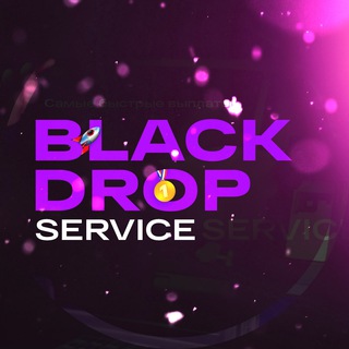 Логотип телеграм канала @blackdroopservice — BLACK DROP SERVICE