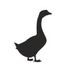 Логотип телеграм канала @blackgoosee — Чёрный гусь 18 