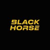 Логотип телеграм канала @blackhorseimport — BLACK HORSE