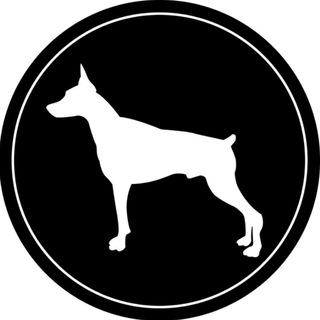 Логотип телеграм канала @blackjack_beer — BlackJack Beer