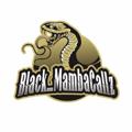 Logo saluran telegram blackmambacall — BLACK MAMBA