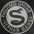 Logo saluran telegram blackmambarf — ⚔️ Чёрная Мамба ⚔️