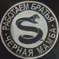 Telegram channel ⚔️ Чёрная Мамба ⚔️ logo