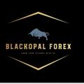 Logo saluran telegram blackopalfx — Blackopal forex