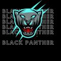 Telegram kanalining logotibi blackpanther42 — BLACK PANTHER