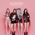 Logo saluran telegram blackpink20164 — BLACKPINK SONGS AND UPDATES