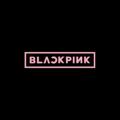 Logo saluran telegram blackpinkindosub — Blinks berbagi🌚
