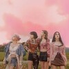 لوگوی کانال تلگرام blackpinkwifey — BBC BLACKPINK
