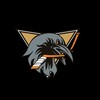 Логотип телеграм канала @blackravenshse — Чёрные вороны