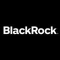 Telegram kanalining logotibi blackrockholdings — BlackRock Holdings