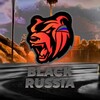 Логотип телеграм канала @blackrussian93 — 🟣Black Rassia (утилиты - indigo)🟣