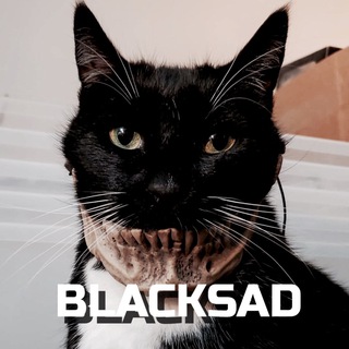 Логотип телеграм канала @blacksad2 — Black Sad