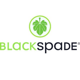 Логотип телеграм канала @blackspadefamily — Blackspadefamily