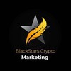 Logo of telegram channel blackstarsnewsch — BlackStars Crypto News