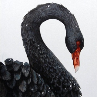 Telegram channel BlackSwan logo