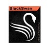 Логотип телеграм канала @blackswanfashion — BlackSwan - Сумки и Аксессуары🫶