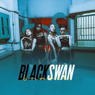 Logotipo do canal de telegrama blackswannbrasil - BlackSwan Brasil