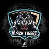 Logo of telegram channel blacktigercalls — 𝗕𝗹𝗮𝗰𝗸 𝗧𝗶𝗴𝗲𝗿 𝗖𝗮𝗹𝗹𝘀