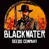 Логотип телеграм канала @blackwater_market — Blackwater