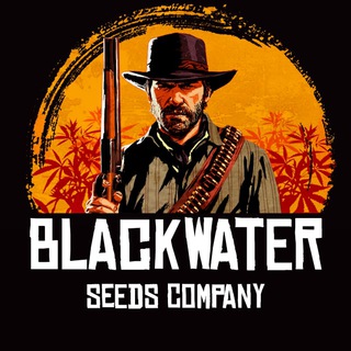 Логотип телеграм канала @blackwaterboys — Blackwater 🌊